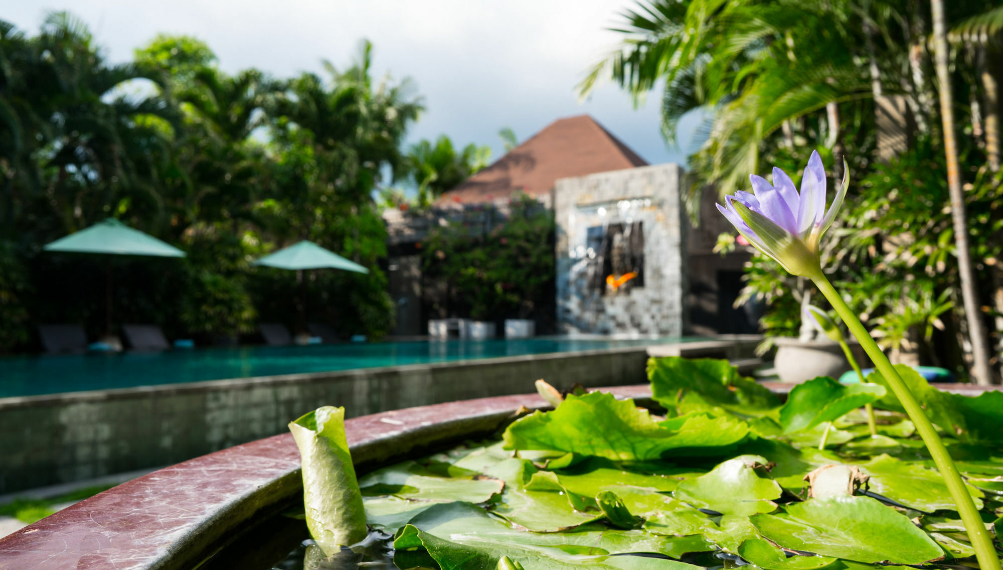 Cicada Luxury Townhouses Seminyak Dış mekan fotoğraf